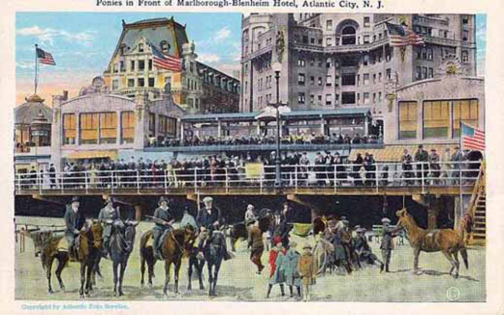 Atlantic City - Beach Ponies in front of the Marlborough Blenheim Hotel