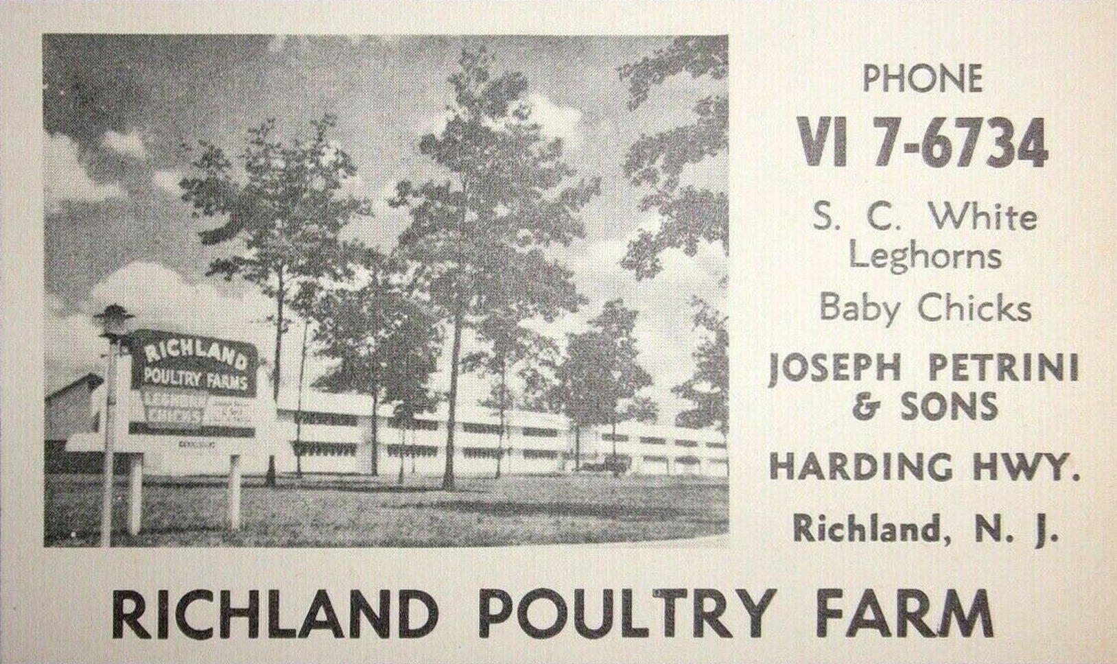 Richland - Richland Poultry Farm - Joseph Petrini and sons - c 1955