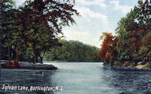 BRLNGTNSYLVAN LAKE VIEW c1910