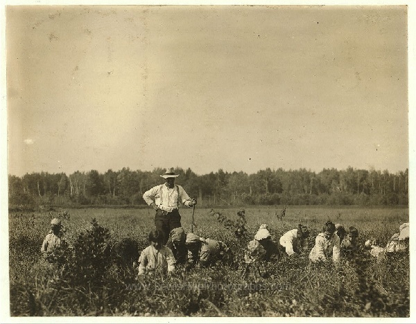 Pemberton - Forsythes bog - 29 September 1910