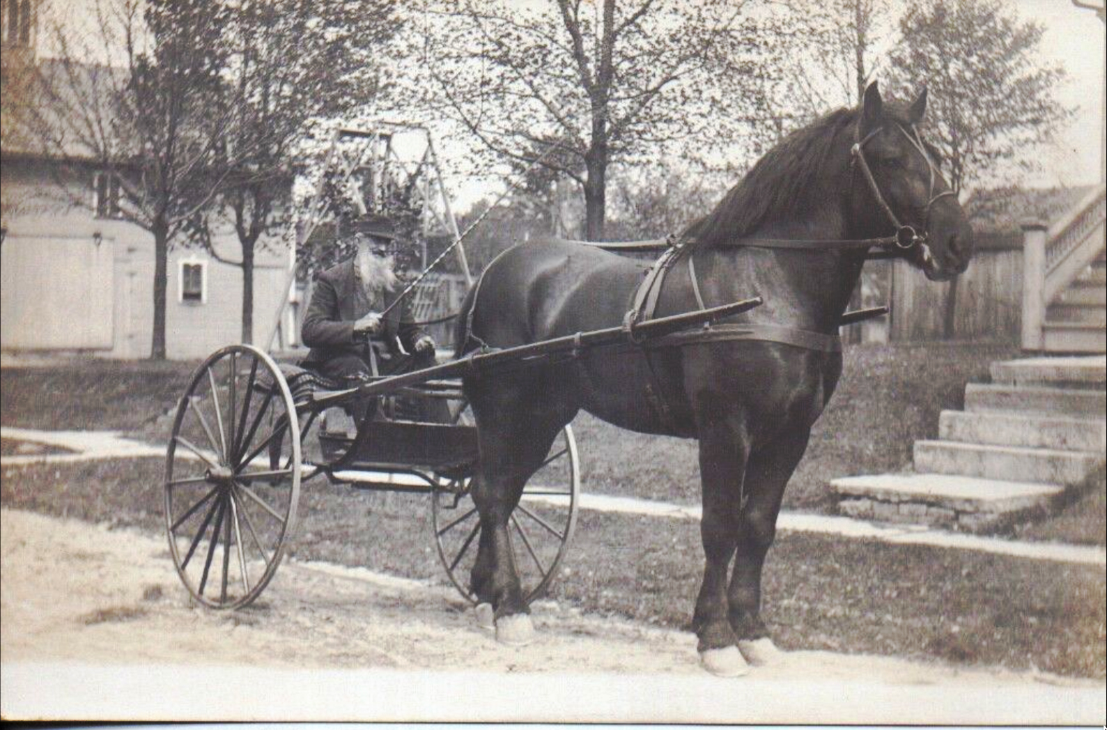 Newton - Old man in sulky on Maple Street near Joseph Prices barn - 1908