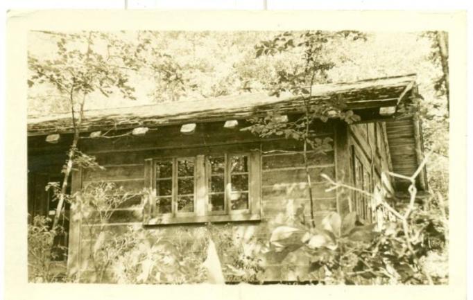 Sussex - The Somgletree - National Camp - c 1910